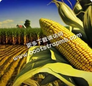 极速下载，畅享体验 - C7娱乐体育APP