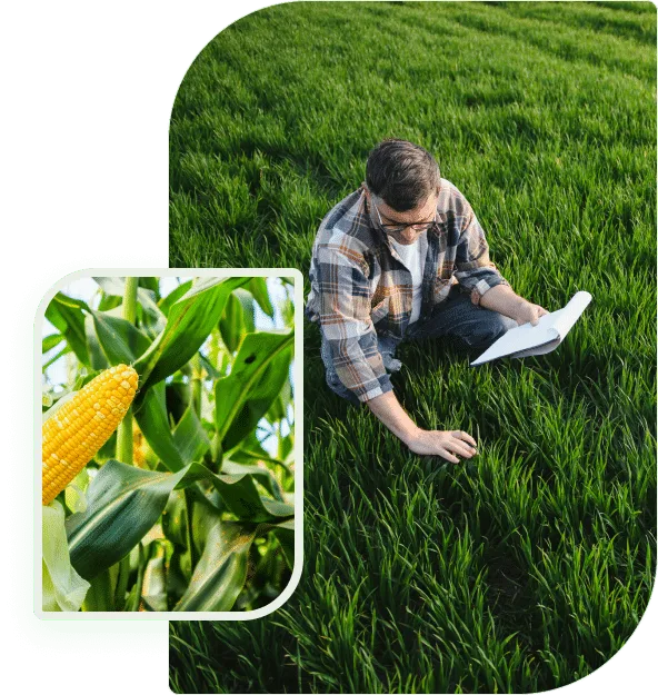 专业分析，助您掌握先机 - C7娱乐体育APP